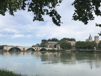 Le Pont d'Avignon à 10 minutes de l'hôtel Face West